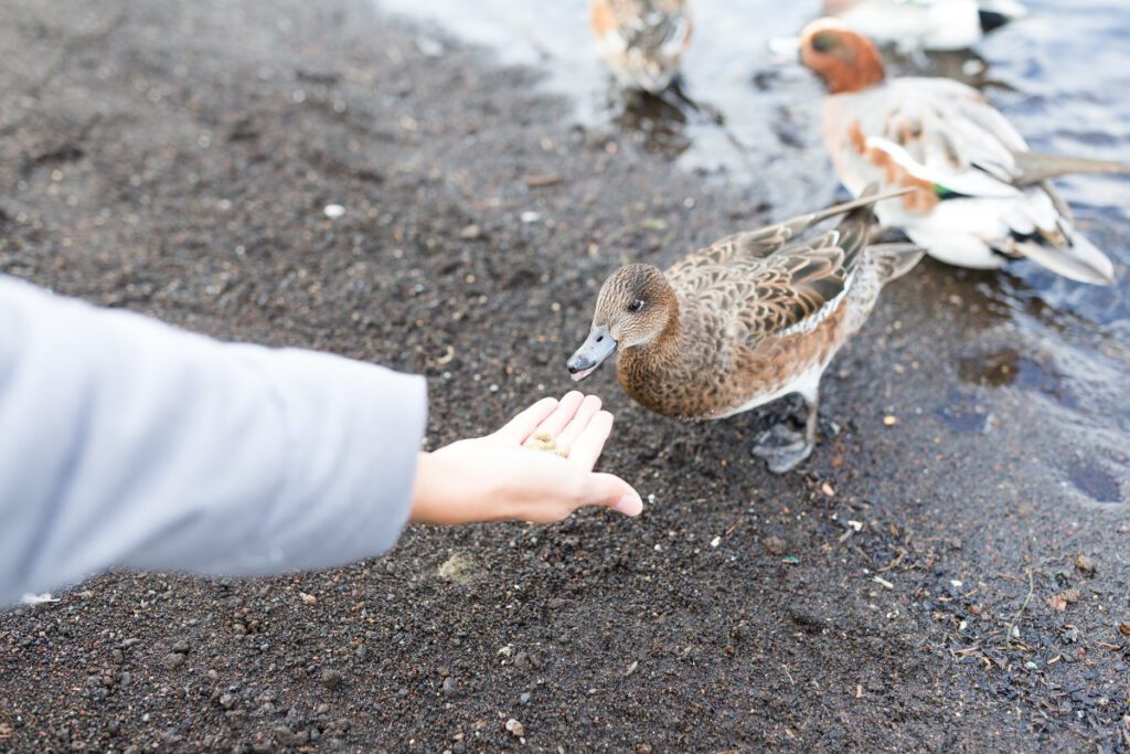 Feeding the Nonprofits