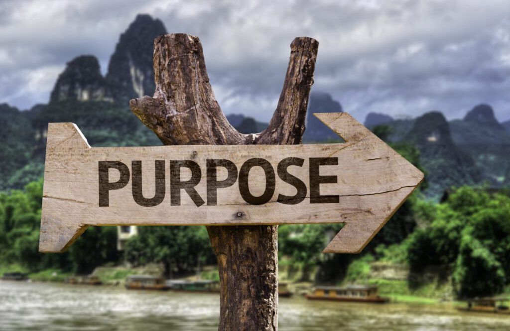 Mission Statements and Purpose